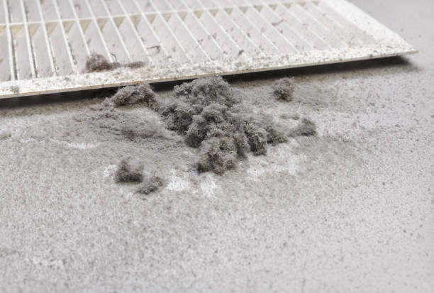 Best HVAC Air Duct Cleaning  in Canton, SD