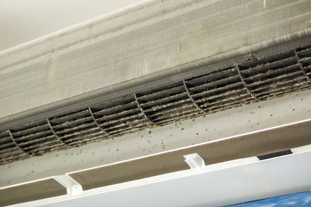 Best HVAC Air Duct Cleaning  in Canton, SD
